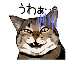 Cat illustrations Sticker sticker #7652840
