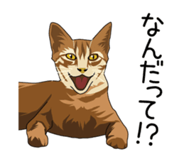 Cat illustrations Sticker sticker #7652842