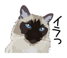 Cat illustrations Sticker sticker #7652845