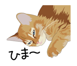 Cat illustrations Sticker sticker #7652847