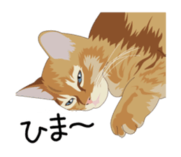 Cat illustrations Sticker sticker #7652847