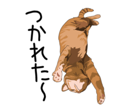Cat illustrations Sticker sticker #7652848