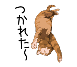 Cat illustrations Sticker sticker #7652848