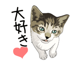 Cat illustrations Sticker sticker #7652849