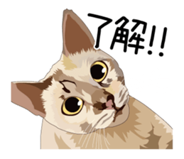 Cat illustrations Sticker sticker #7652850