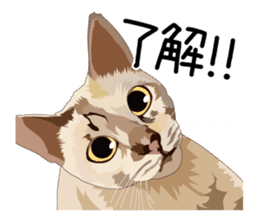 Cat illustrations Sticker sticker #7652850