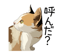 Cat illustrations Sticker sticker #7652851