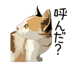 Cat illustrations Sticker sticker #7652851