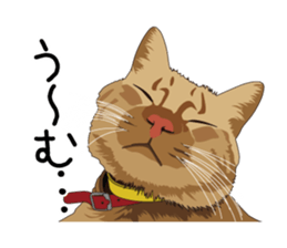 Cat illustrations Sticker sticker #7652852