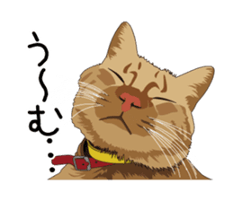 Cat illustrations Sticker sticker #7652852