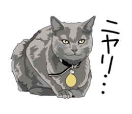 Cat illustrations Sticker sticker #7652853