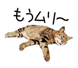 Cat illustrations Sticker sticker #7652855