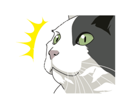 Cat illustrations Sticker sticker #7652856