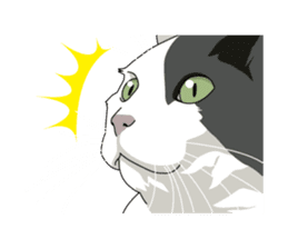 Cat illustrations Sticker sticker #7652856