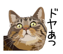 Cat illustrations Sticker sticker #7652857