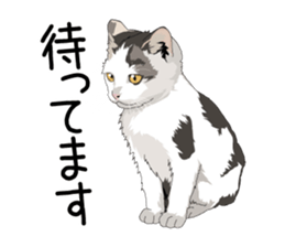 Cat illustrations Sticker sticker #7652858