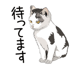 Cat illustrations Sticker sticker #7652858