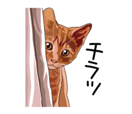 Cat illustrations Sticker sticker #7652859
