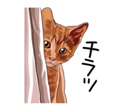 Cat illustrations Sticker sticker #7652859