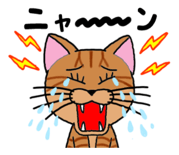 Ryoma and Chacha (cat eyes version) sticker #7653732