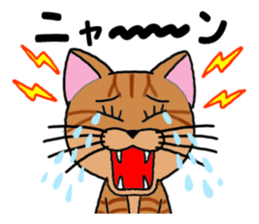 Ryoma and Chacha (cat eyes version) sticker #7653732