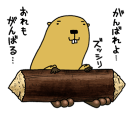 Feaver of Beaver sticker #7653869
