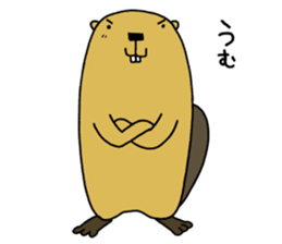 Feaver of Beaver sticker #7653870
