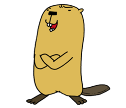 Feaver of Beaver sticker #7653871