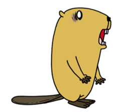 Feaver of Beaver sticker #7653874