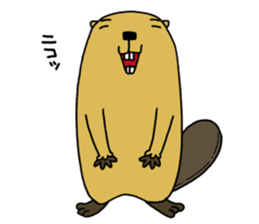 Feaver of Beaver sticker #7653878