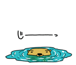 Feaver of Beaver sticker #7653880