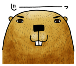 Feaver of Beaver sticker #7653881