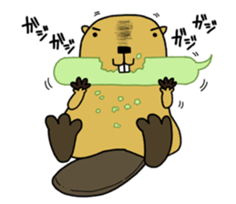 Feaver of Beaver sticker #7653886