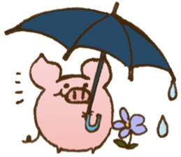 Apple Pig Collections sticker #7660524