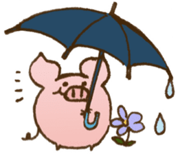 Apple Pig Collections sticker #7660524