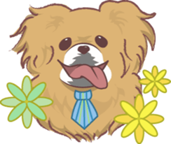 Tibetan spaniel sticker #7662980
