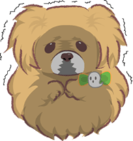 Tibetan spaniel sticker #7662984