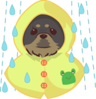 Tibetan spaniel sticker #7662987