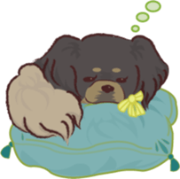 Tibetan spaniel sticker #7662991