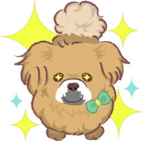 Tibetan spaniel sticker #7662996