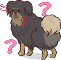 Tibetan spaniel sticker #7662997
