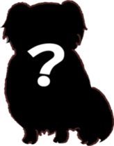 Tibetan spaniel sticker #7663003