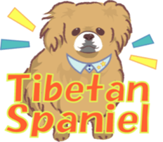 Tibetan spaniel sticker #7663004