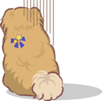 Tibetan spaniel sticker #7663008
