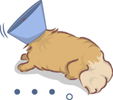 Tibetan spaniel sticker #7663009