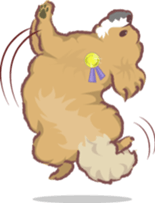 Tibetan spaniel sticker #7663012