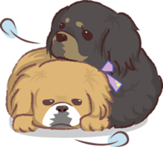 Tibetan spaniel sticker #7663014