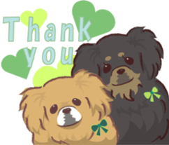 Tibetan spaniel sticker #7663016