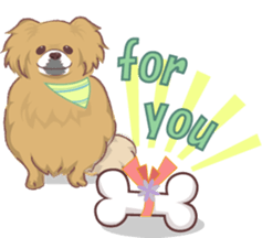 Tibetan spaniel sticker #7663018