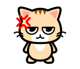 Stare with fixity cat sticker #7663592